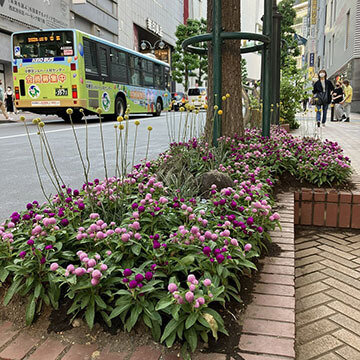 TOSHI LANDSCAPEと渋谷・ランドスケープ