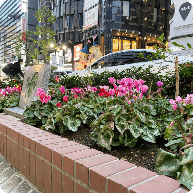 飯館村の児童によるお花の植替え（東日本大震災復興支援）