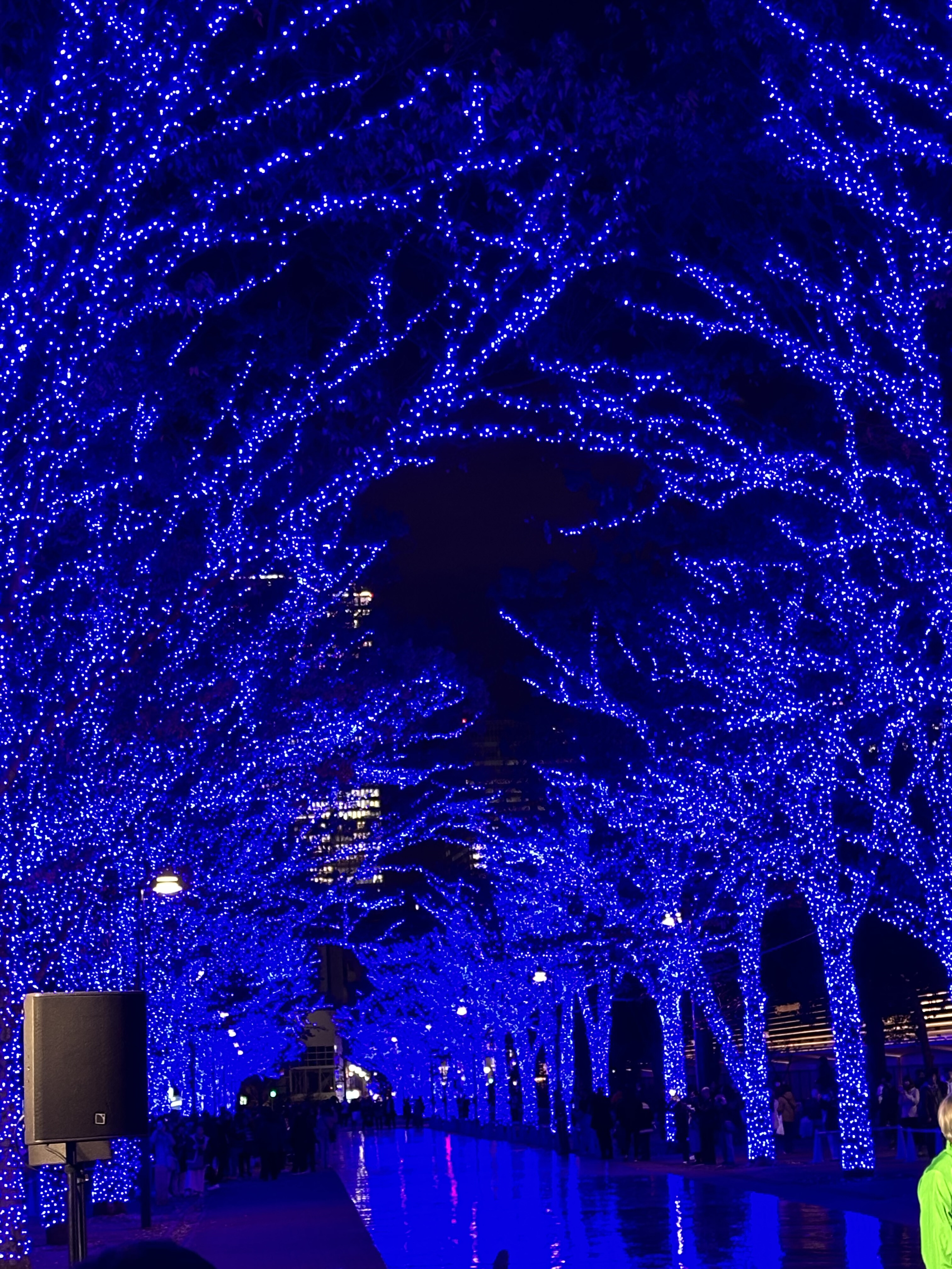 青の洞窟SHIBUYA2025開催のお知らせ！