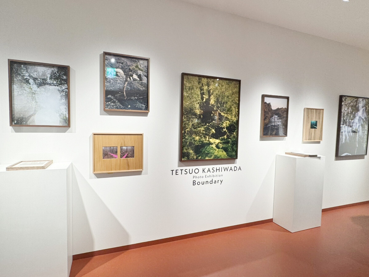 スペイン坂に本とアートの複合スペース「NONLECTURE books/arts」オープン