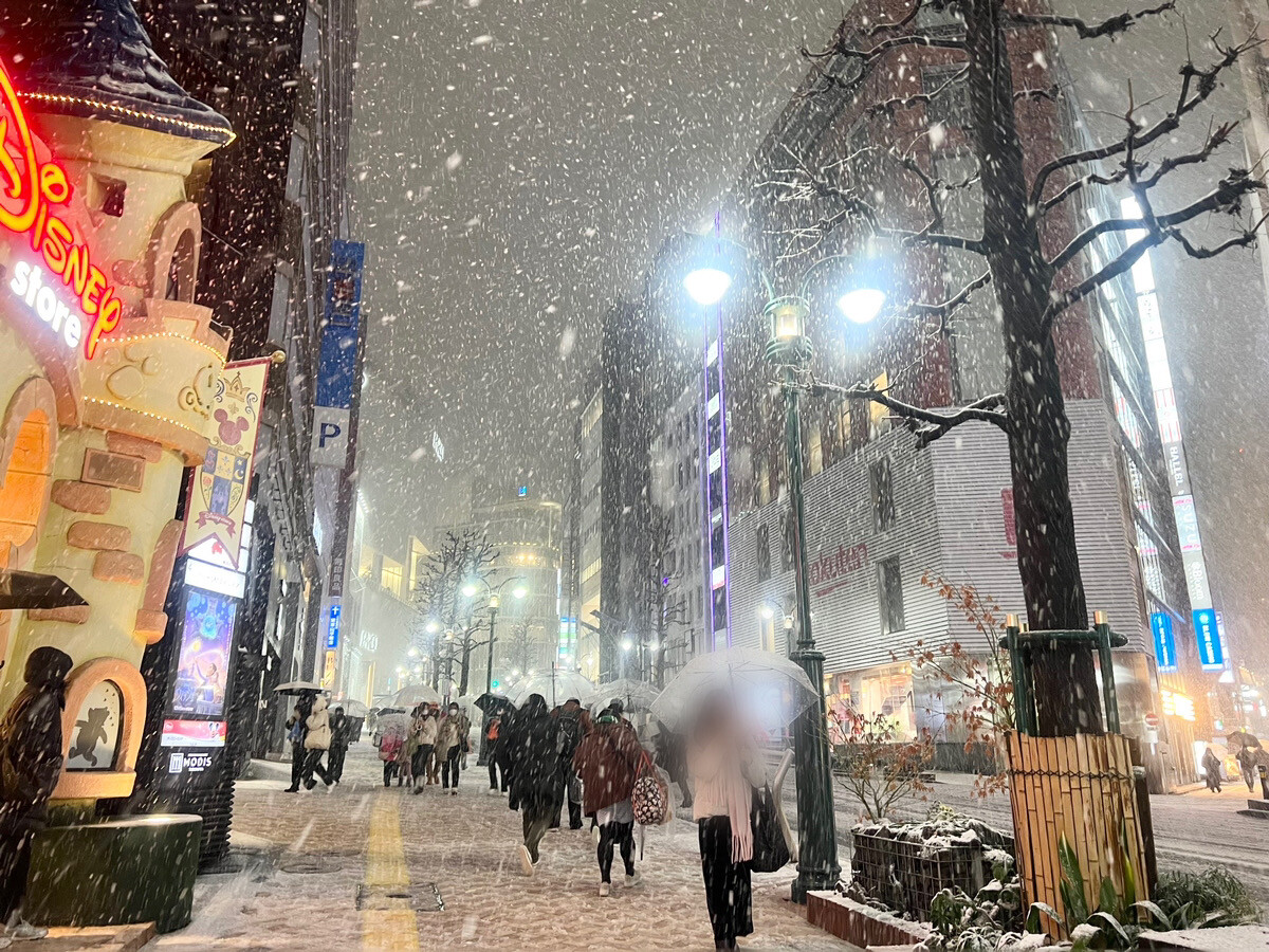 この冬初めての積雪。公園通りも雪景色☆